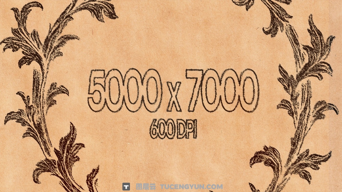 40款真实质感牛皮纸板扫描纸张肌理纹理JPG图片设计套装+PS笔刷 Kraft Paper Texture Pack（14054）图层云