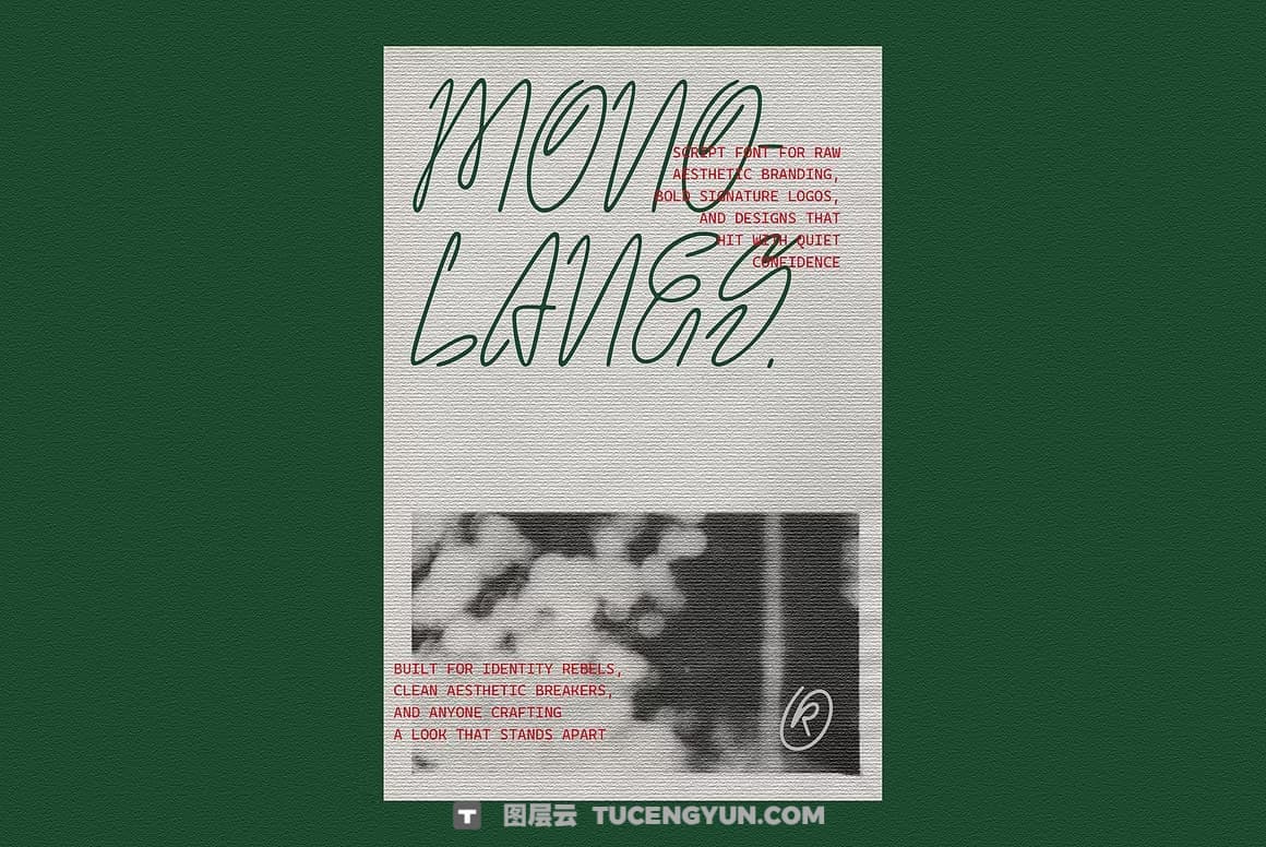 英文字体：精致自然风格流畅手写连笔logo标题排版封面海报请柬设计字体 Monolanes font（14113）图层云