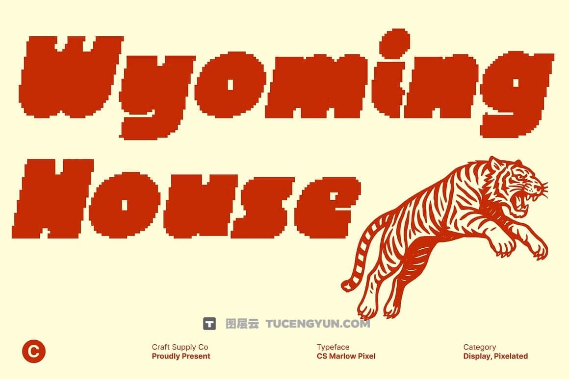 英文字体：大胆个性冲击像素感现代数字美学头条海报品牌形象设计字体 Marlow Pixel（14114）图层云