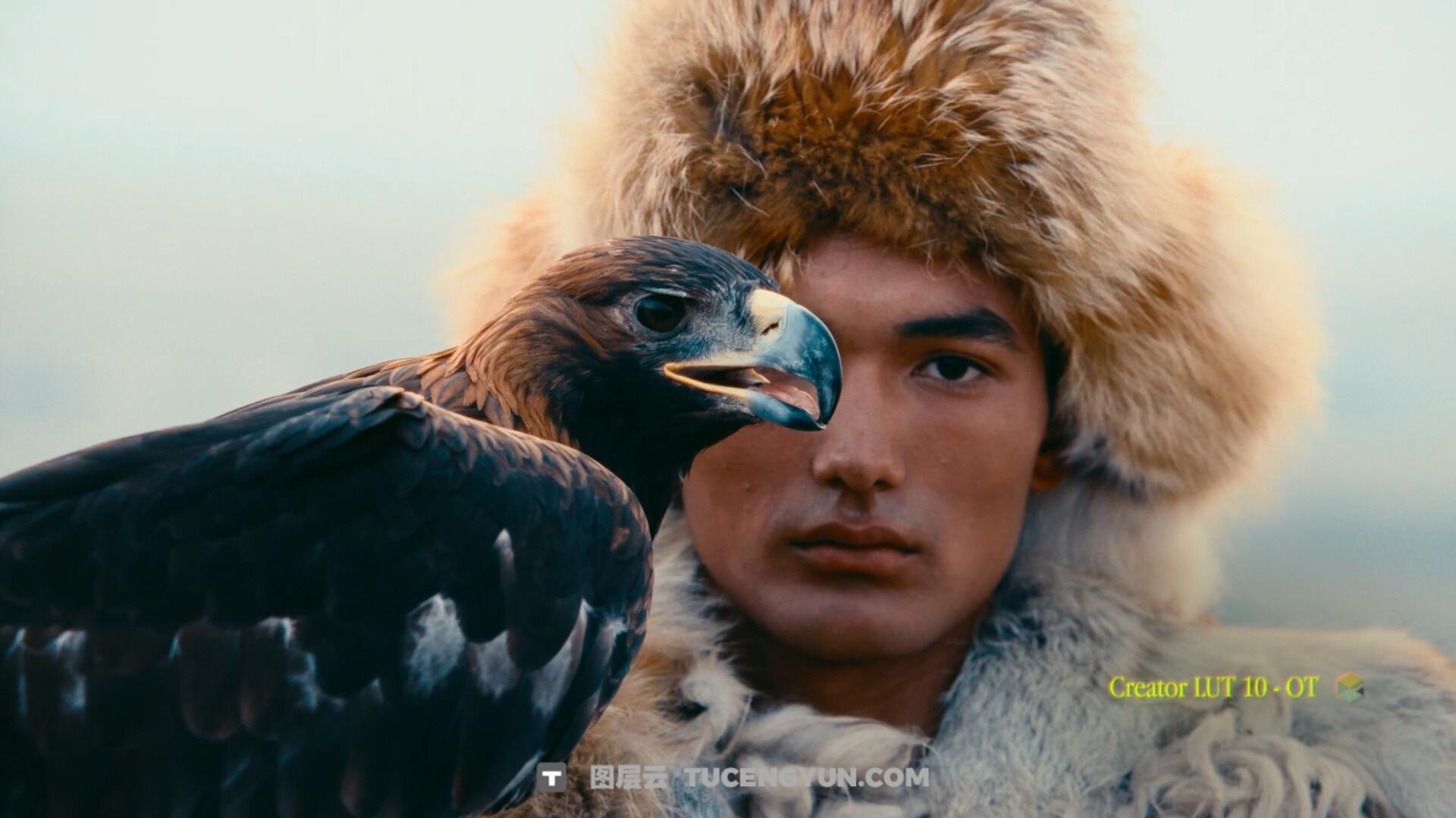 Gamut – Creator 大胆胶片风格商业广告电影短片创作LUT调色预设（14115）图层云