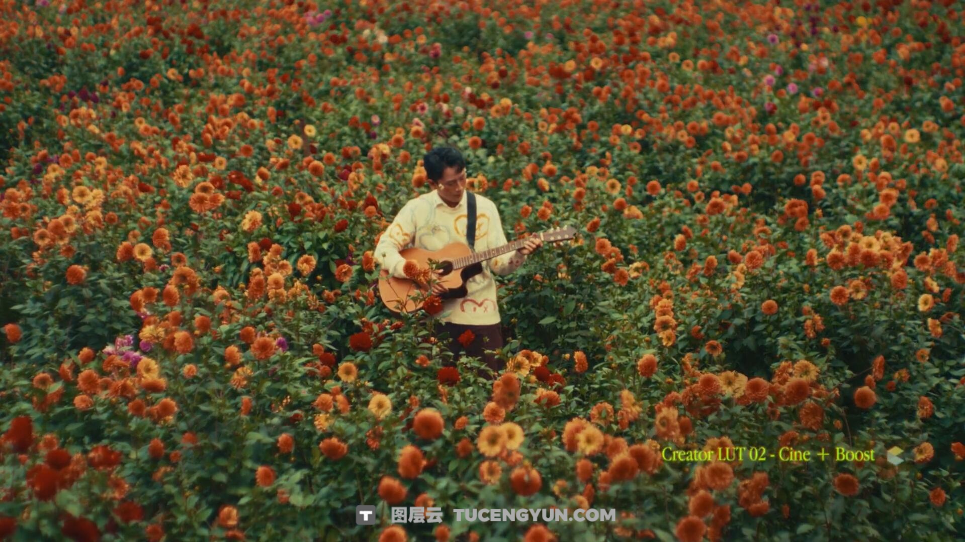 Gamut – Creator 大胆胶片风格商业广告电影短片创作LUT调色预设（14115）图层云