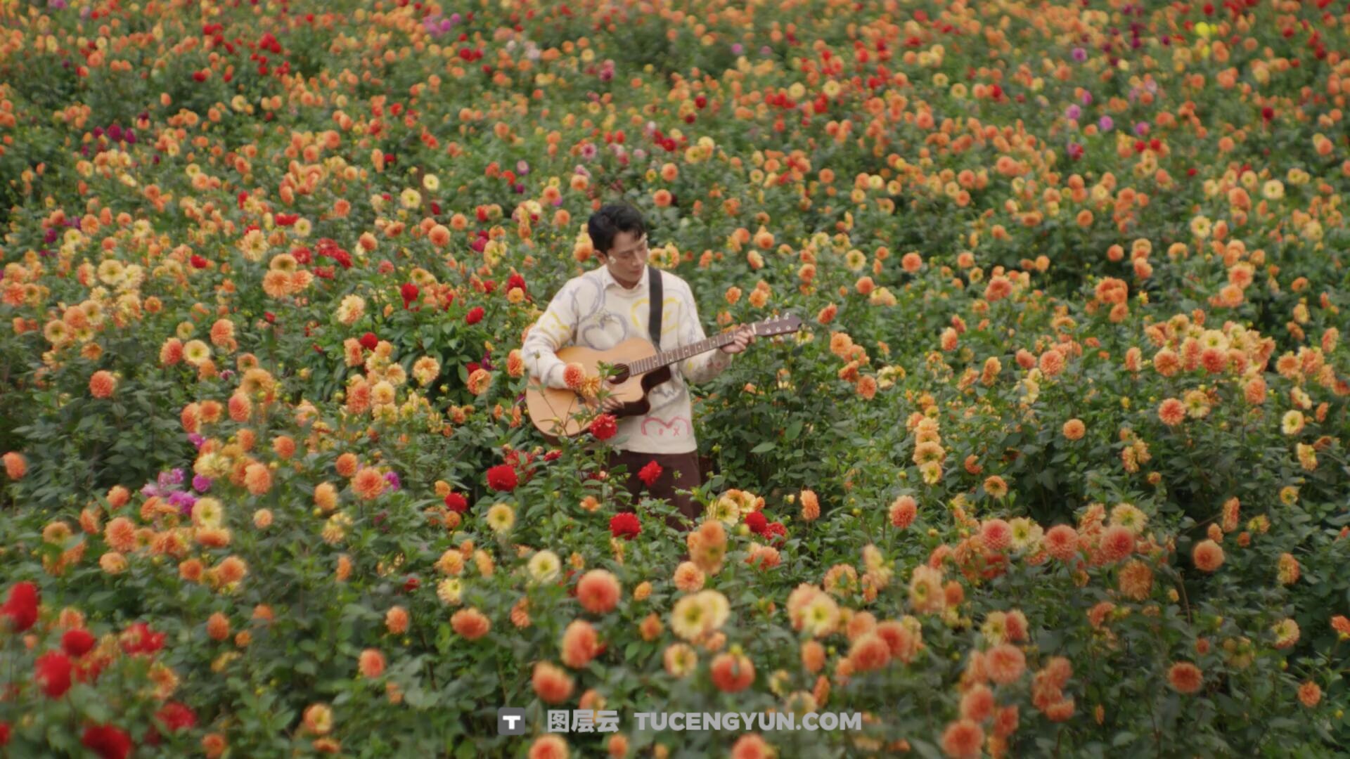 Gamut – Creator 大胆胶片风格商业广告电影短片创作LUT调色预设（14115）图层云