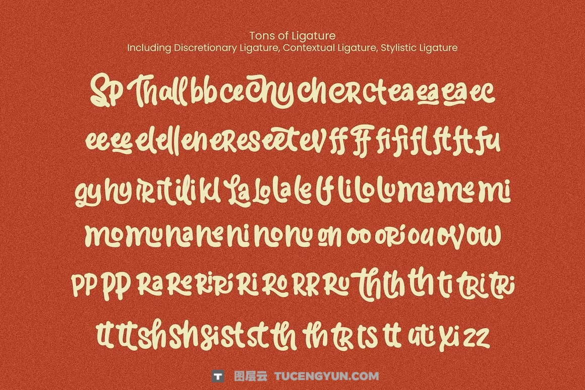 英文字体：大胆流畅曲线手写笔触感俏皮连笔海报封面包装设计字体 Josellyne – Handwritten Display Font（14189）图层云