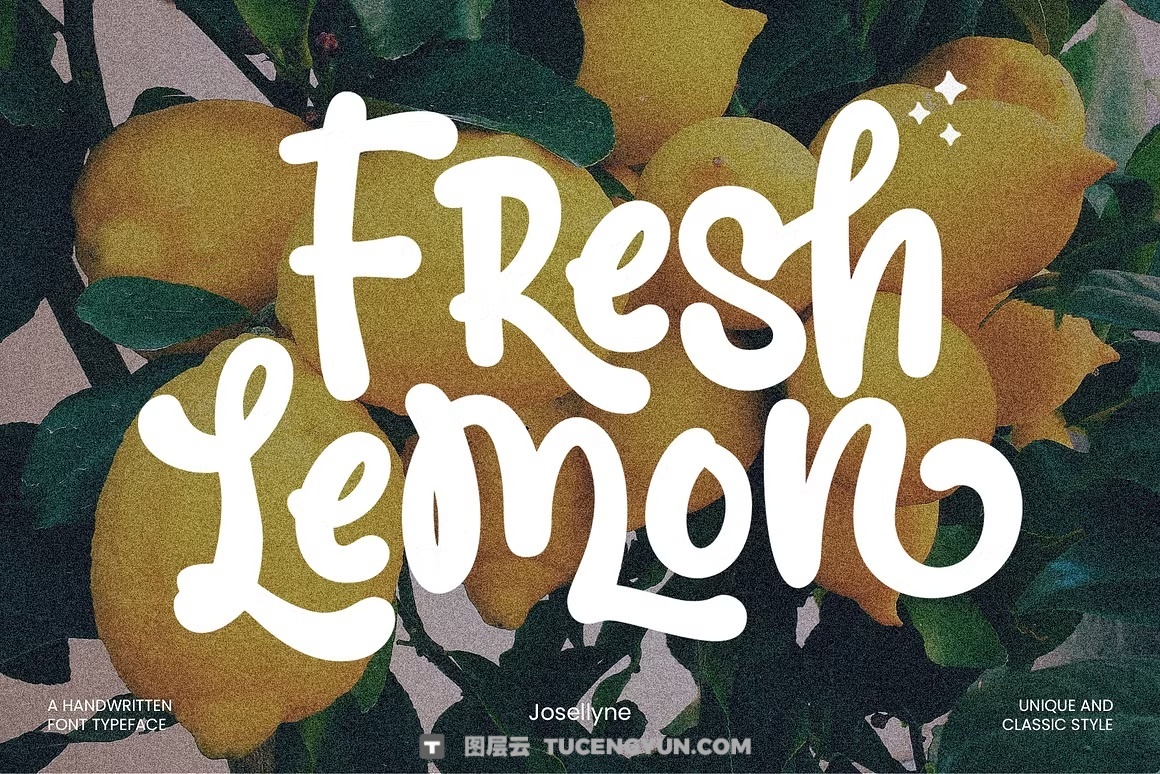英文字体：大胆流畅曲线手写笔触感俏皮连笔海报封面包装设计字体 Josellyne – Handwritten Display Font（14189）图层云