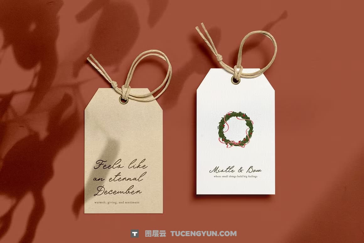 英文字体：真实自然流畅手写连笔logo徽标标题排版海报封面设计字体 Dear Amora Handwritten Script（14203）图层云