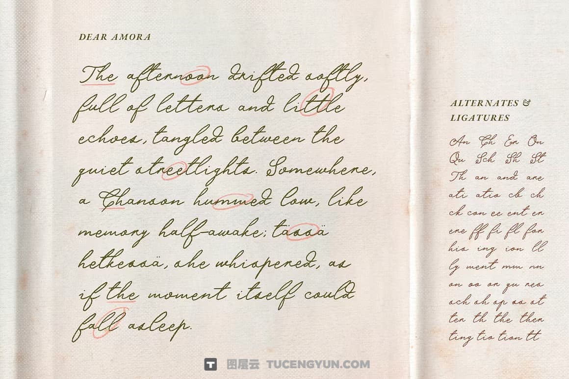 英文字体：真实自然流畅手写连笔logo徽标标题排版海报封面设计字体 Dear Amora Handwritten Script（14203）图层云