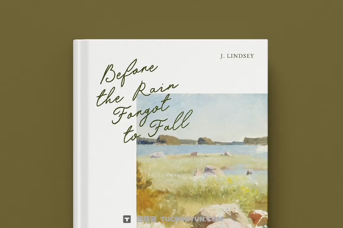 英文字体：真实自然流畅手写连笔logo徽标标题排版海报封面设计字体 Dear Amora Handwritten Script（14203）图层云