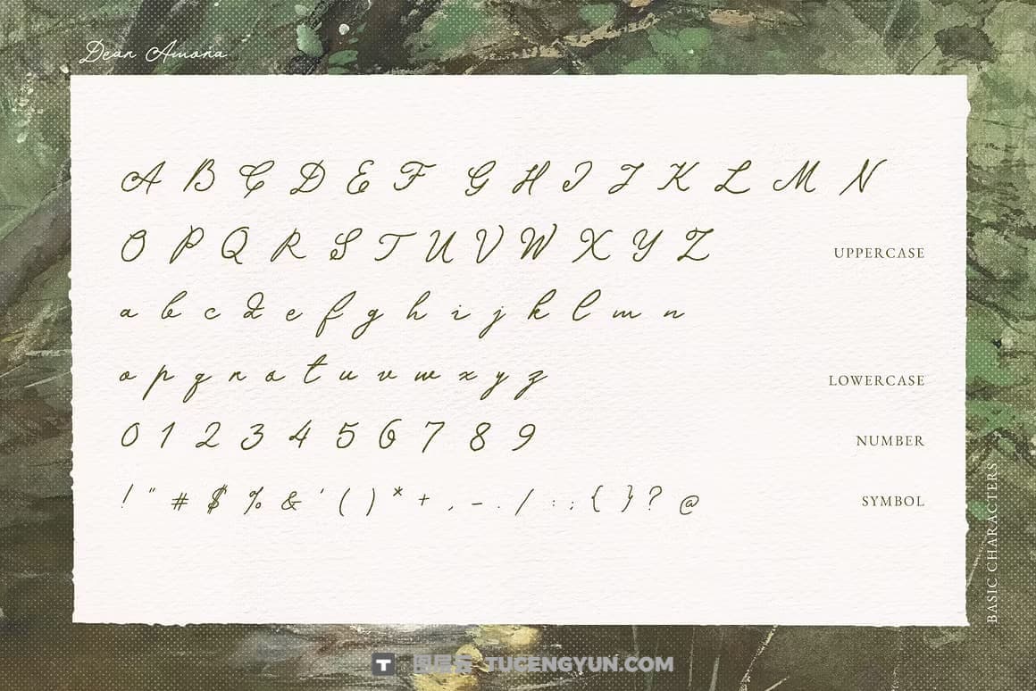 英文字体：真实自然流畅手写连笔logo徽标标题排版海报封面设计字体 Dear Amora Handwritten Script（14203）图层云