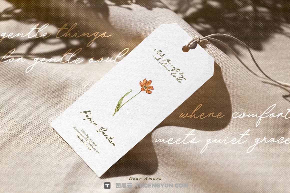 英文字体:真实自然流畅手写连笔logo徽标标题排版海报封面设计字体 Dear Amora Handwritten Script(14203)图层云 英文字体:真实自然流畅手写连笔logo徽标标题排版海报封面设计字体 Dear Amora Handwritten Script(14203)图层云