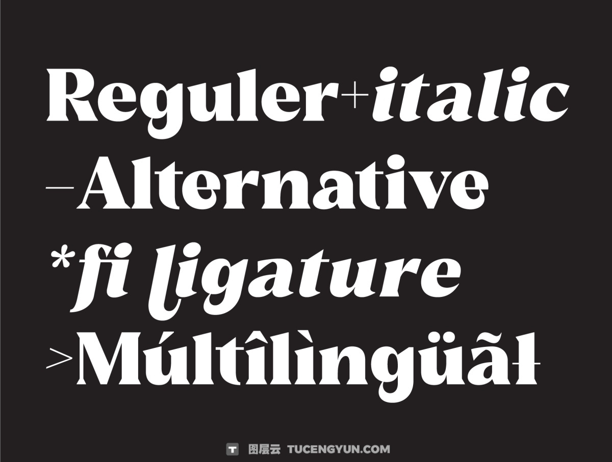 英文字体：大胆经典醒目杂志头条海报多功能设计衬线字体 Reshiga（14223）图层云