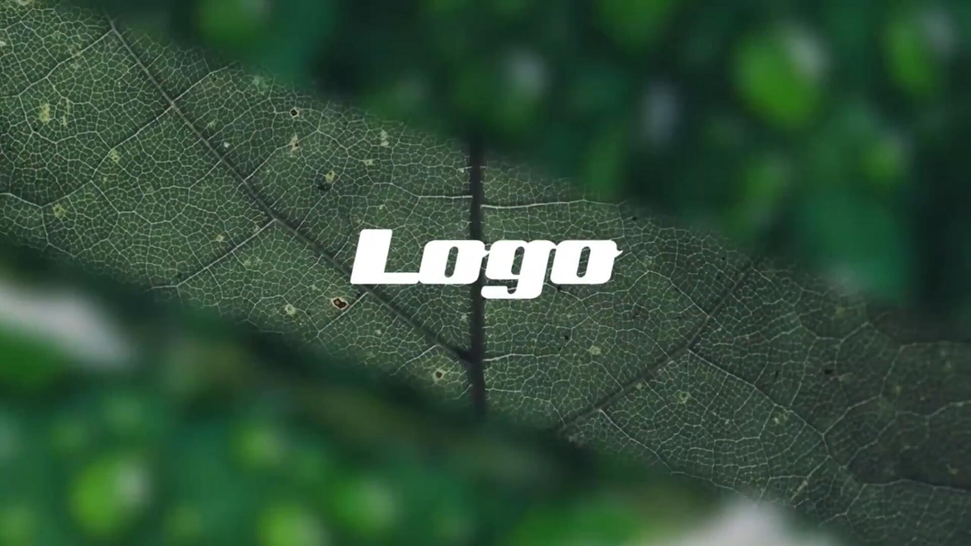 PR模板：创意感3D镜头推动照片相册开场片头LOGO展示（14226）