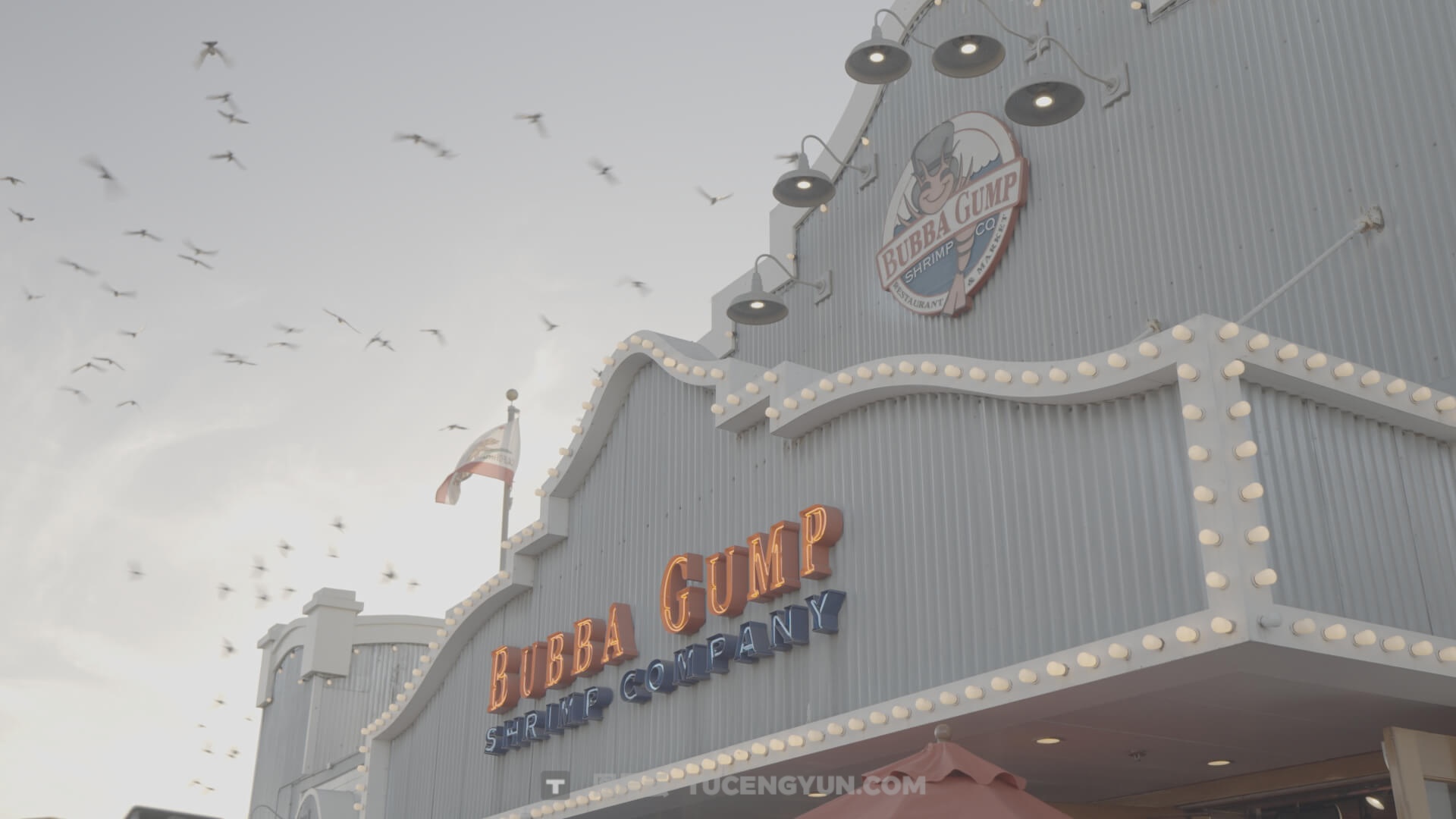 一键式复古电影感阿莱蓝、电影绿、暖色调LOG还原色彩分级LUT调色预设 Lifesessions – Cinema Life Luts（14233）图层云