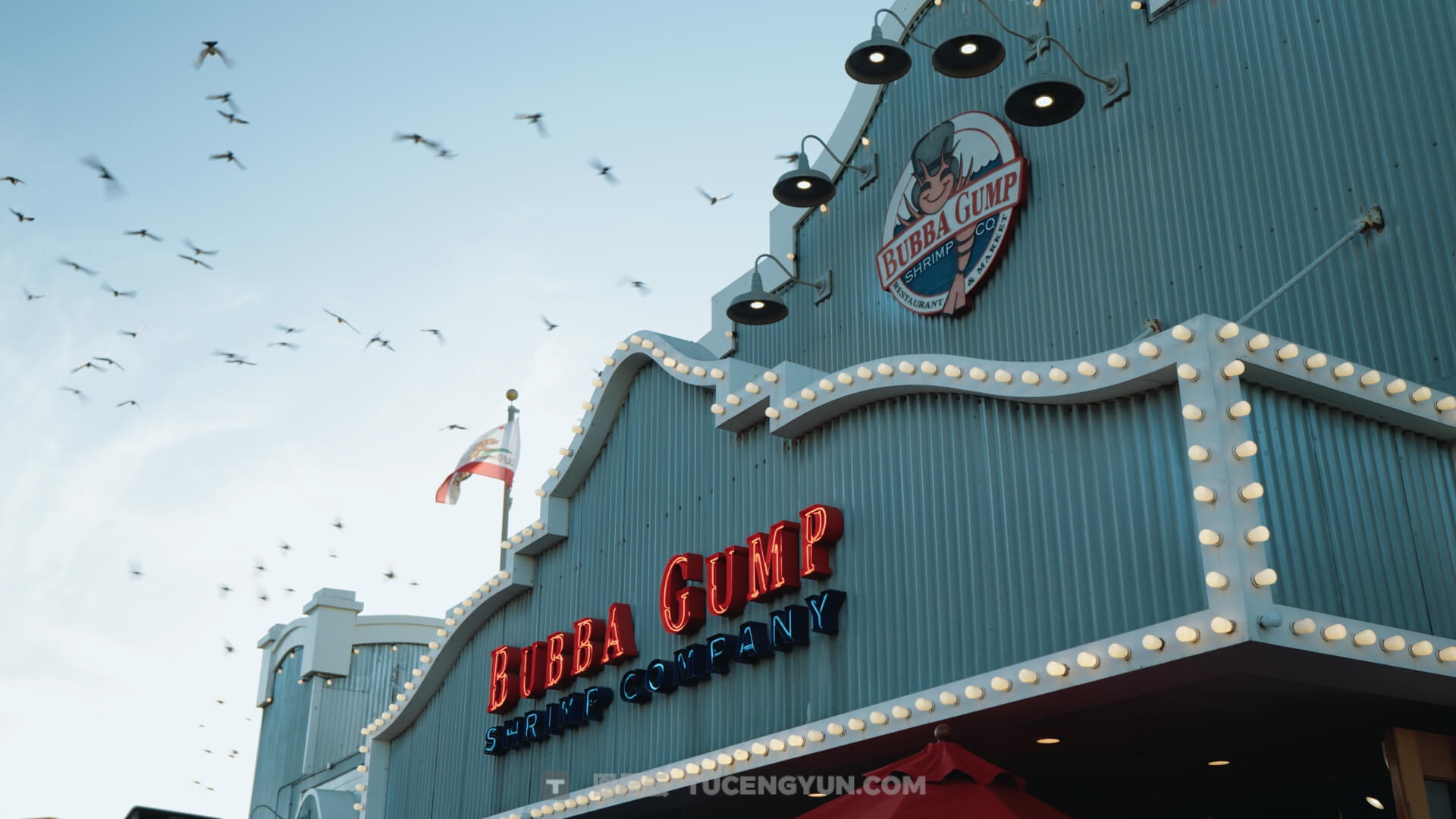 一键式复古电影感阿莱蓝、电影绿、暖色调LOG还原色彩分级LUT调色预设 Lifesessions – Cinema Life Luts（14233）图层云