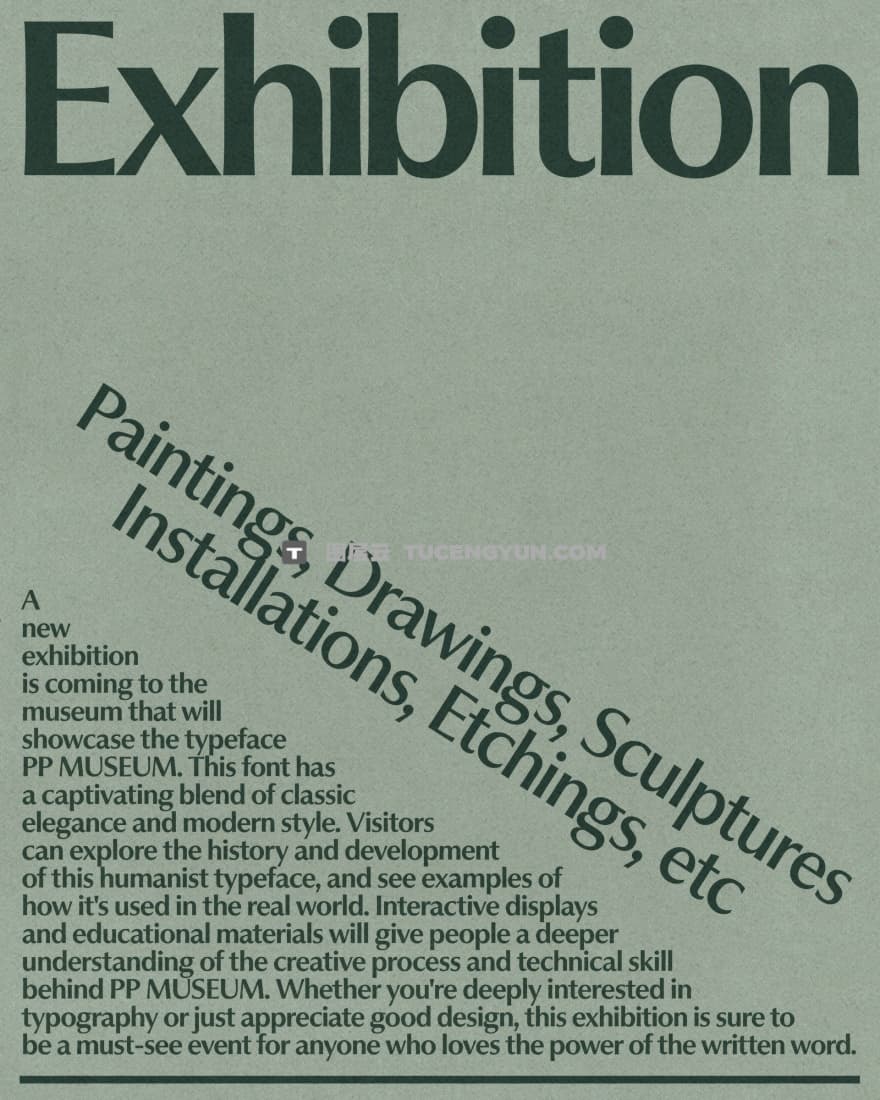 英文字体：精致人文陈旧钞票精致草图海报书籍封面设计衬线字体 PP Museum（14247）图层云