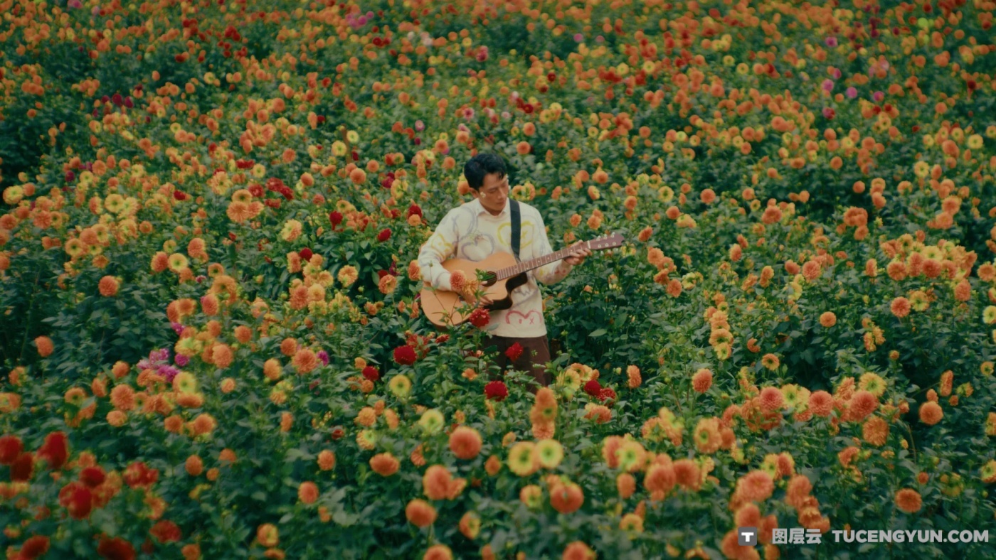 复古柯达/富士胶片模拟落日、青冷色调风格化电影视觉色彩分级达芬奇调色节点+视频教程(14305)图层云 复古柯达/富士胶片模拟落日、青冷色调风格化电影视觉色彩分级达芬奇调色节点+视频教程(14305)图层云