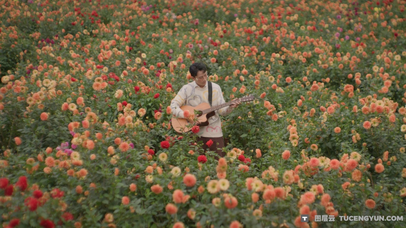 复古柯达/富士胶片模拟落日、青冷色调风格化电影视觉色彩分级达芬奇调色节点+视频教程（14305）图层云