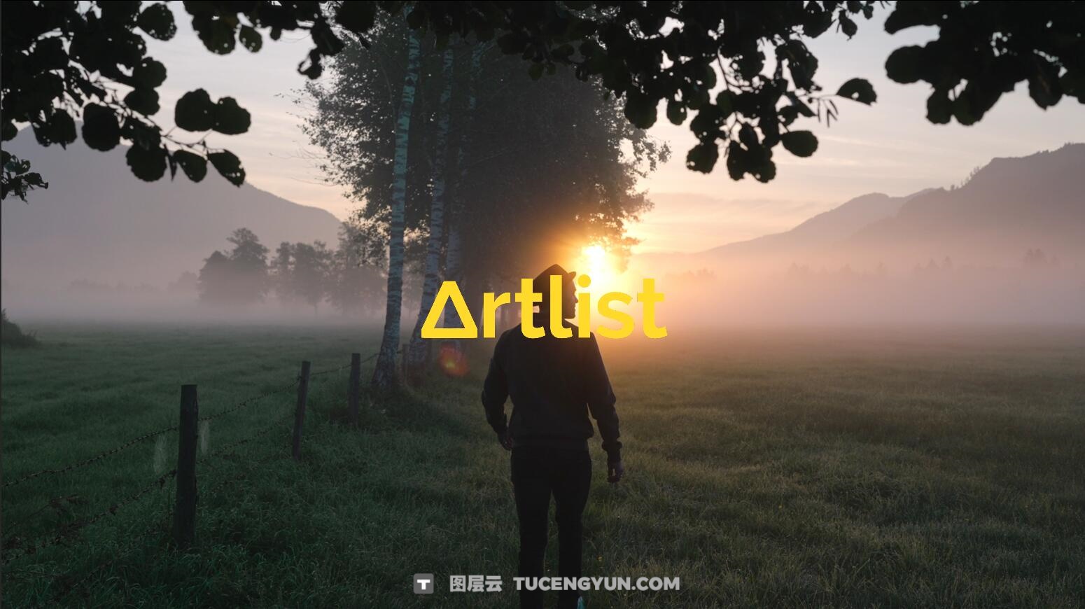 Artlist 14个热门商业广告短片摄像机实拍LOG原始灰片调色练习片段视频素材（14323）图层云