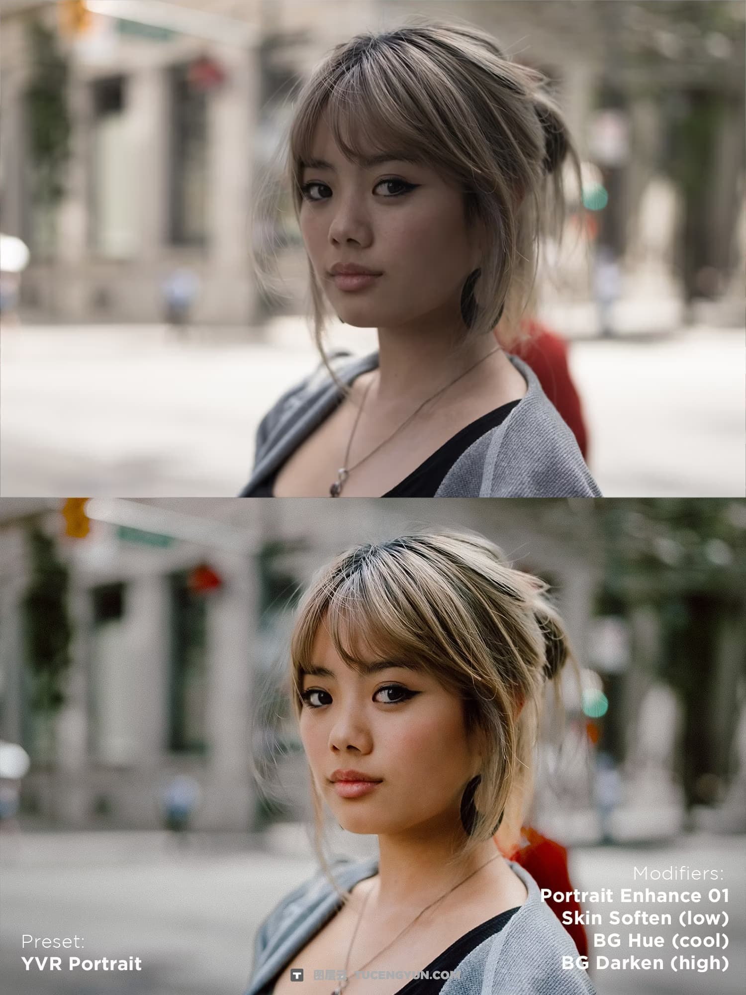 油管网红宠物博主人像宠物摄影Lightroom终极预设套装 Justjn Veenema – Ultimate Preset Bundle（14339）图层云