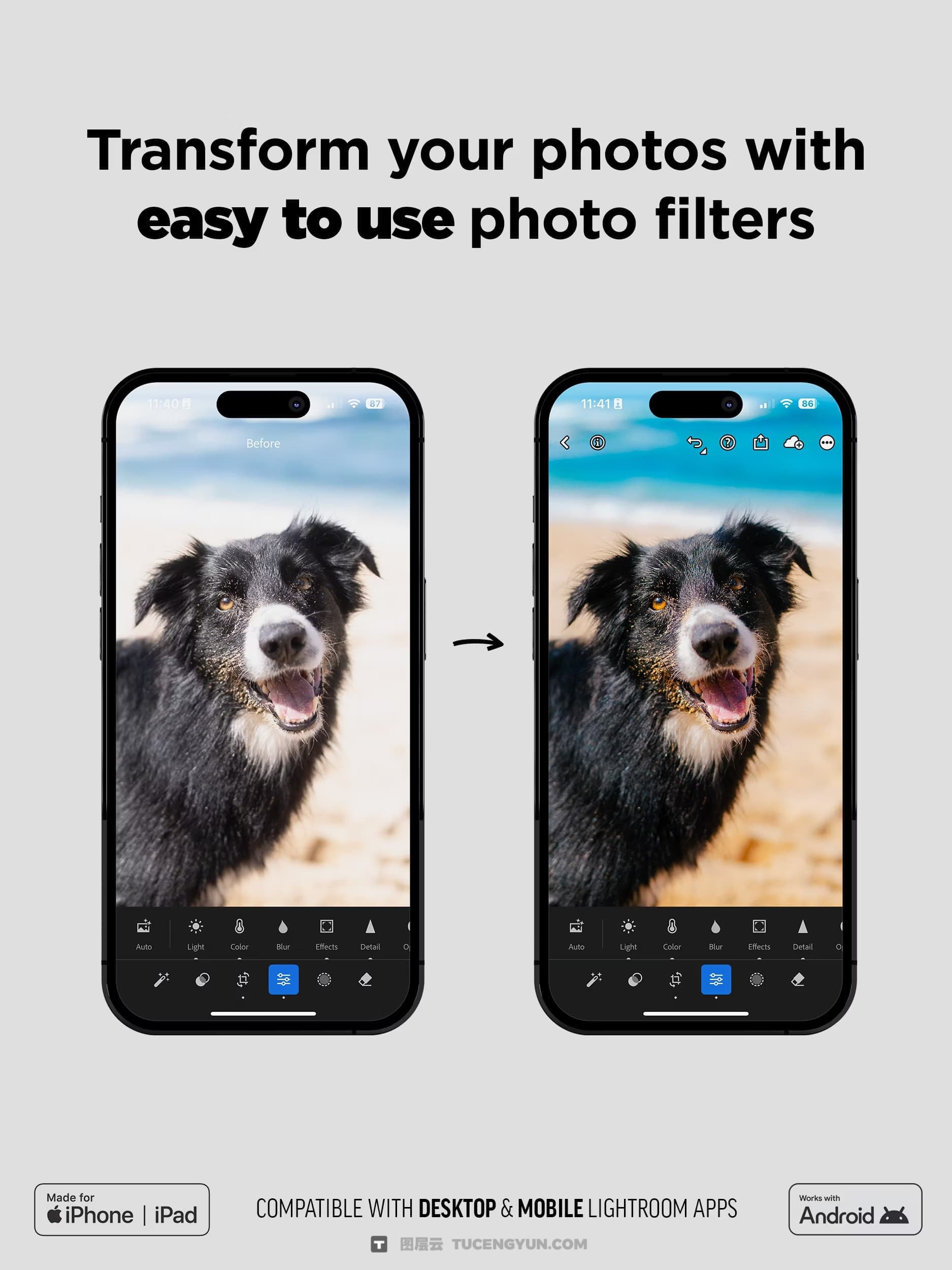 油管网红宠物博主人像宠物摄影Lightroom终极预设套装 Justjn Veenema – Ultimate Preset Bundle（14339）图层云