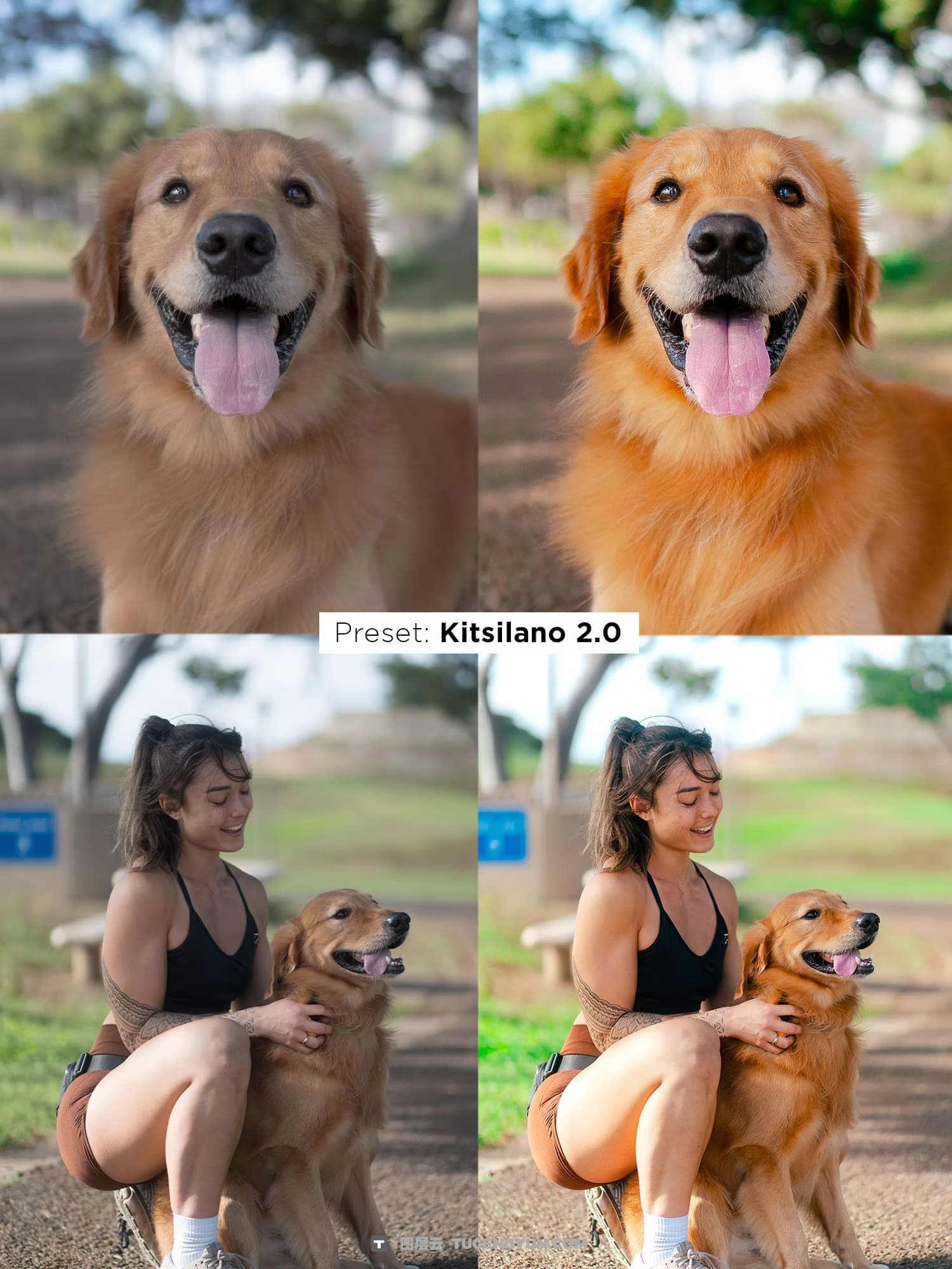 油管网红宠物博主人像宠物摄影Lightroom终极预设套装 Justjn Veenema – Ultimate Preset Bundle(14339)图层云 油管网红宠物博主人像宠物摄影Lightroom终极预设套装 Justjn Veenema – Ultimate Preset Bundle(14339)图层云