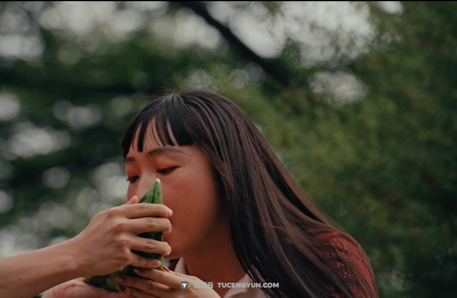 1200多个一键式电影、音乐视频、纪录片、婚礼视频色彩风格化达芬奇节点+LUT预设包 Presetcurator – 1200+ Creative Cinematic LUTs Master Bundle（14440）图层云