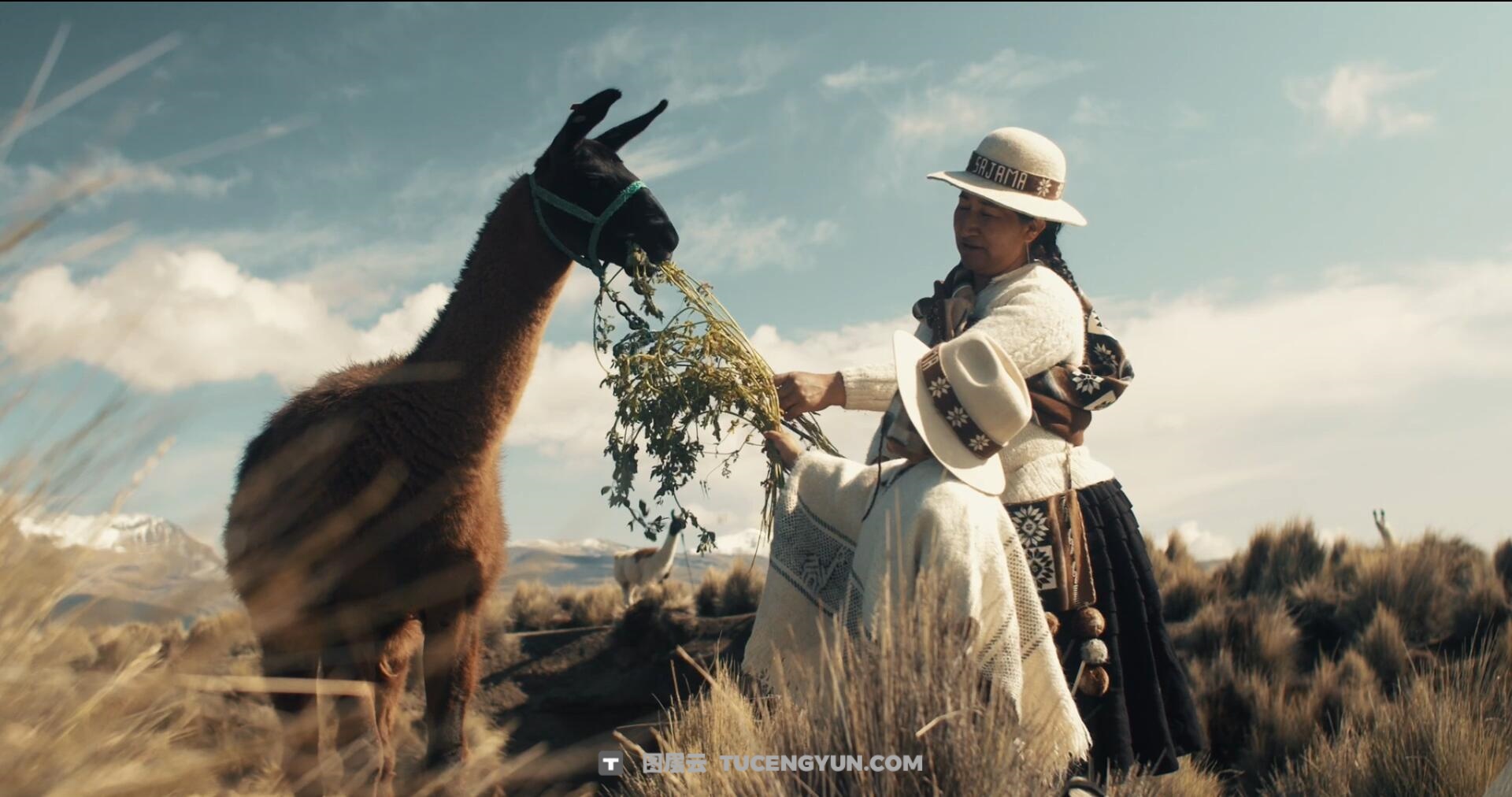 1200多个一键式电影、音乐视频、纪录片、婚礼视频色彩风格化达芬奇节点+LUT预设包 Presetcurator – 1200+ Creative Cinematic LUTs Master Bundle(14440)图层云 1200多个一键式电影、音乐视频、纪录片、婚礼视频色彩风格化达芬奇节点+LUT预设包 Presetcurator – 1200+ Creative Cinematic LUTs Master Bundle(14440)图层云