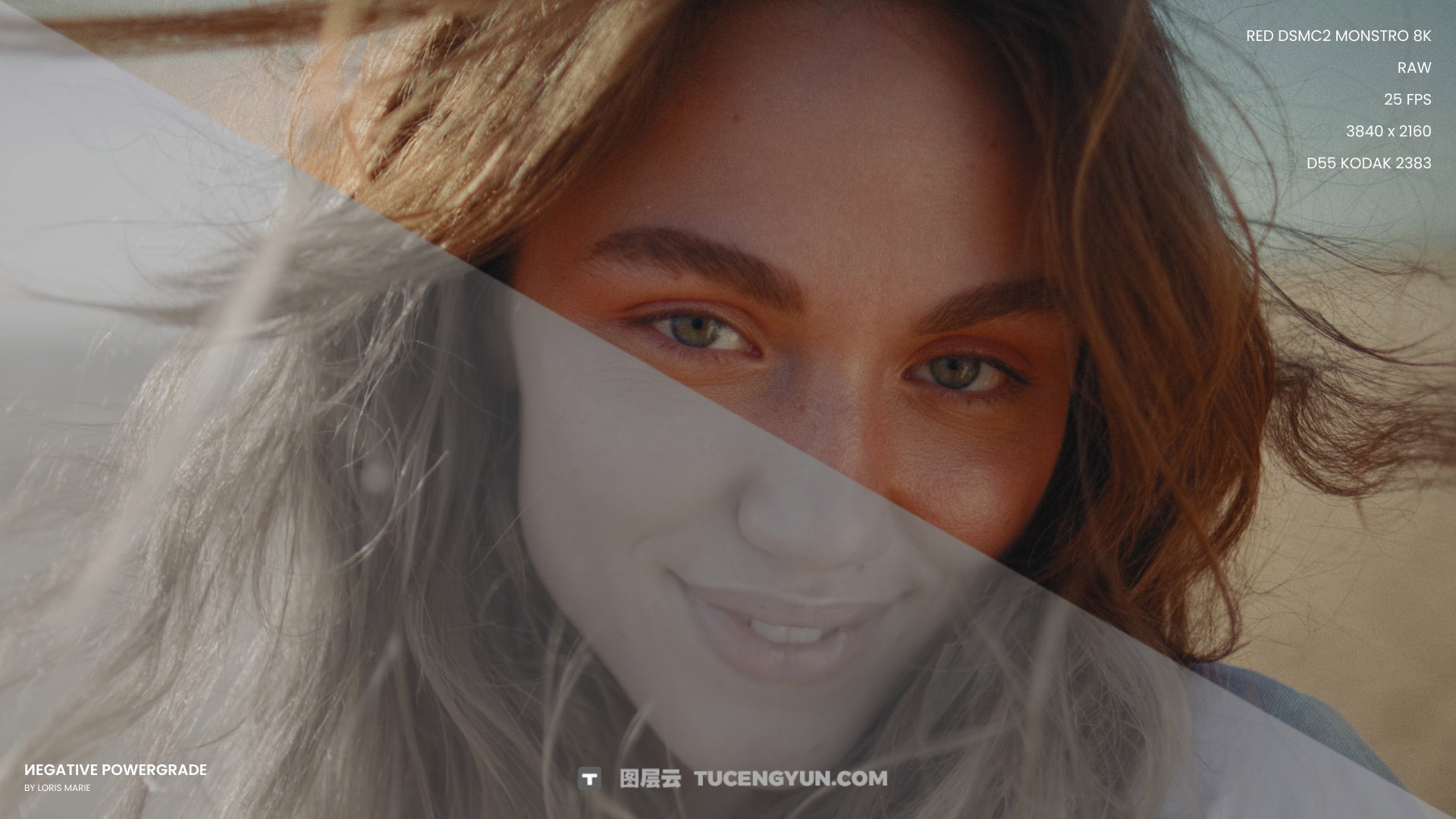 经典柯达5219好莱坞电影级胶片模拟达芬奇调色节点+LUT预设 Loris Marie – Negative Powergrade ( Davinci Resolve )（14337）图层云