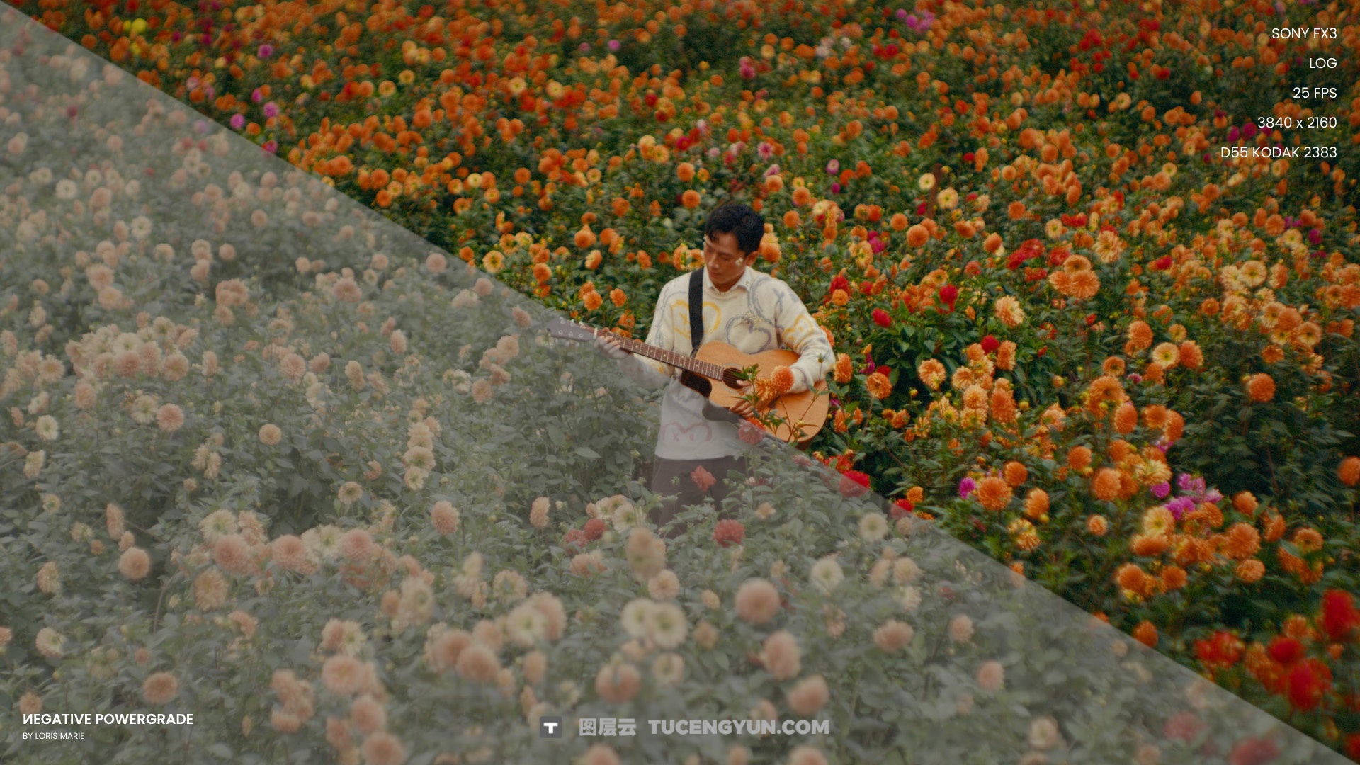 经典柯达5219好莱坞电影级胶片模拟达芬奇调色节点+LUT预设 Loris Marie – Negative Powergrade ( Davinci Resolve )（14337）图层云