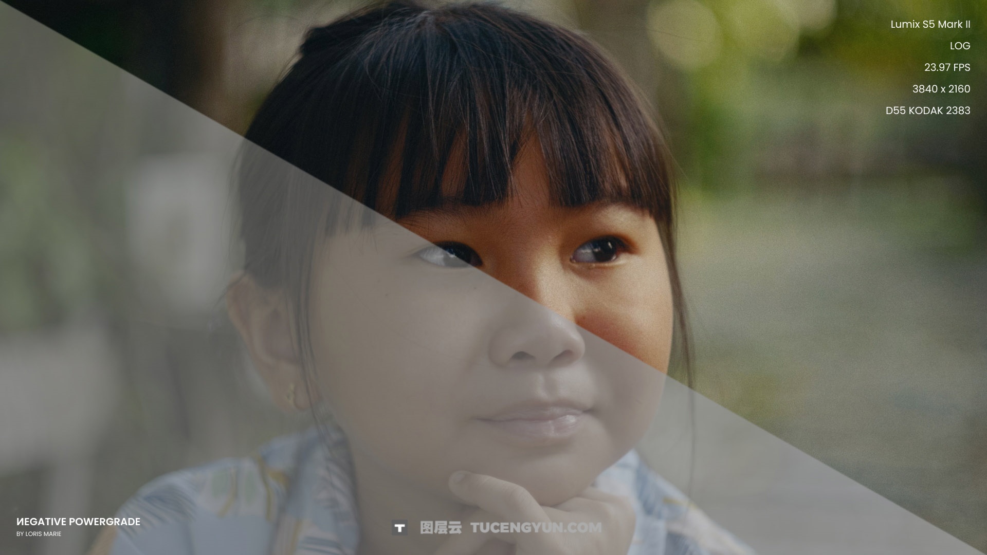 经典柯达5219好莱坞电影级胶片模拟达芬奇调色节点+LUT预设 Loris Marie – Negative Powergrade ( Davinci Resolve )（14337）图层云
