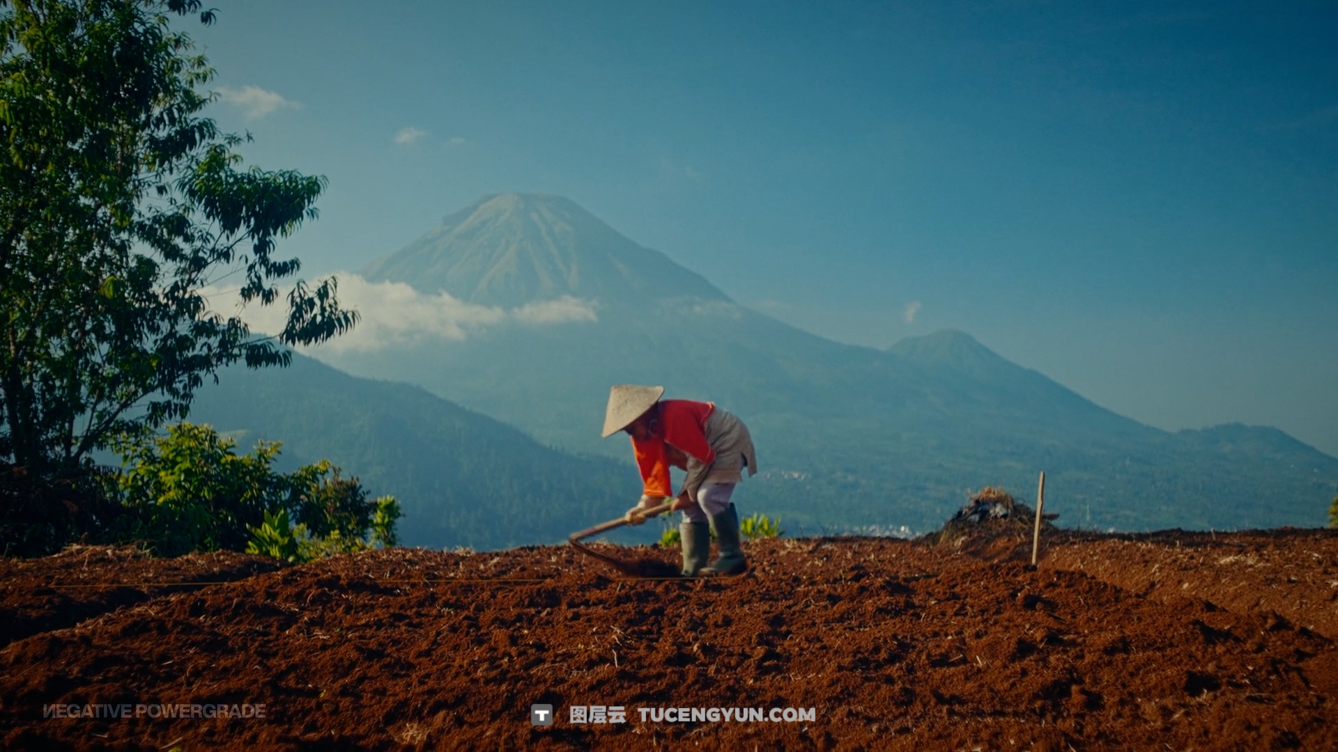 经典柯达5219好莱坞电影级胶片模拟达芬奇调色节点+LUT预设 Loris Marie – Negative Powergrade ( Davinci Resolve )（14337）图层云