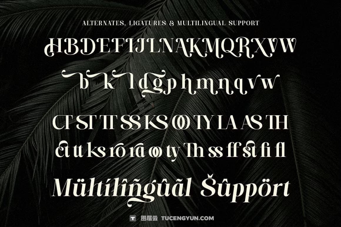 英文字体：全新现代优雅奢侈品牌logo标题排版衬线封面海报设计字体 Paradise Spring – Soft Elegant Serif（14464）图层云