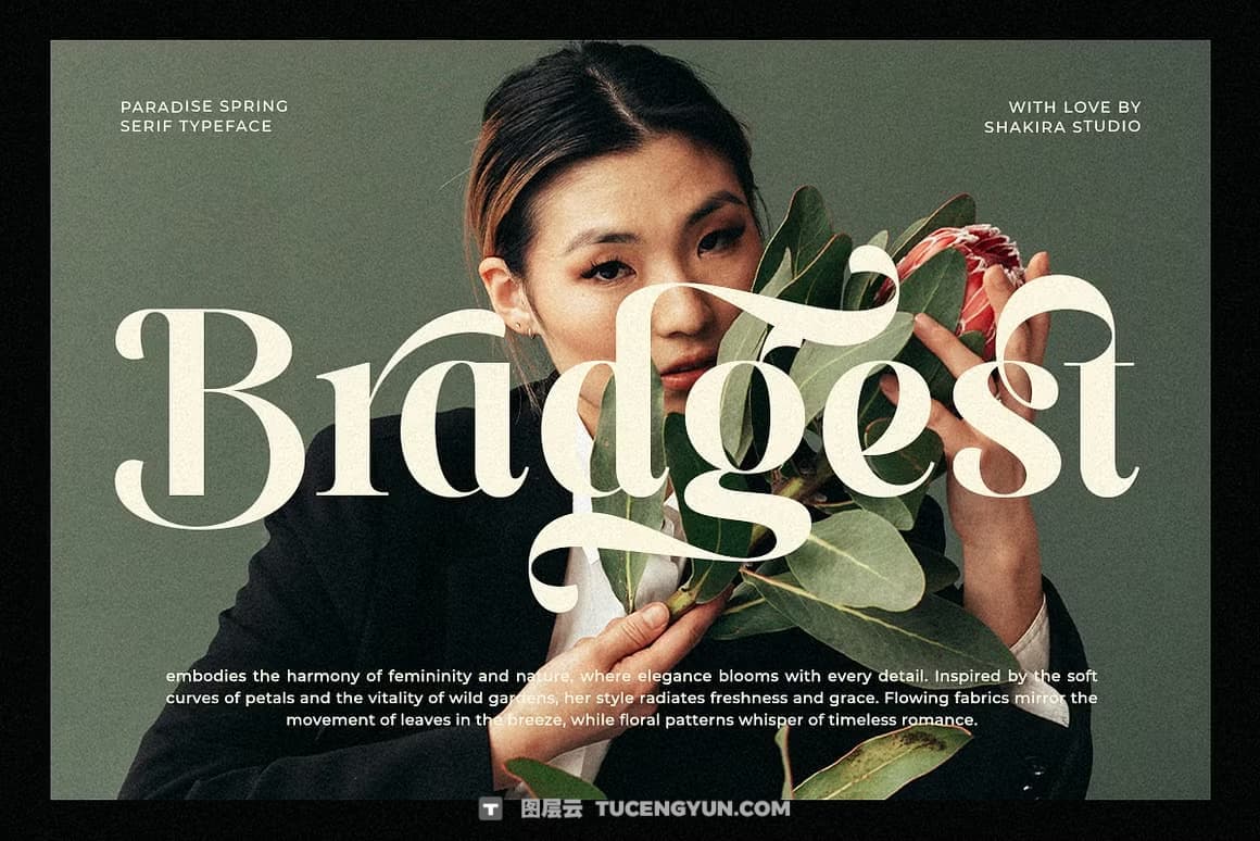 英文字体：全新现代优雅奢侈品牌logo标题排版衬线封面海报设计字体 Paradise Spring – Soft Elegant Serif（14464）图层云