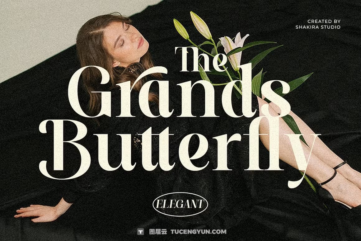 英文字体：全新现代优雅奢侈品牌logo标题排版衬线封面海报设计字体 Paradise Spring – Soft Elegant Serif（14464）图层云