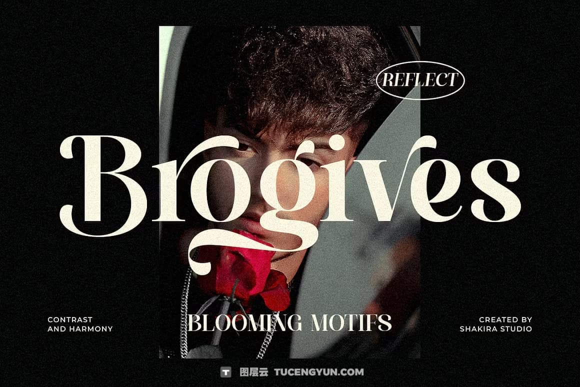 英文字体：全新现代优雅奢侈品牌logo标题排版衬线封面海报设计字体 Paradise Spring – Soft Elegant Serif（14464）图层云