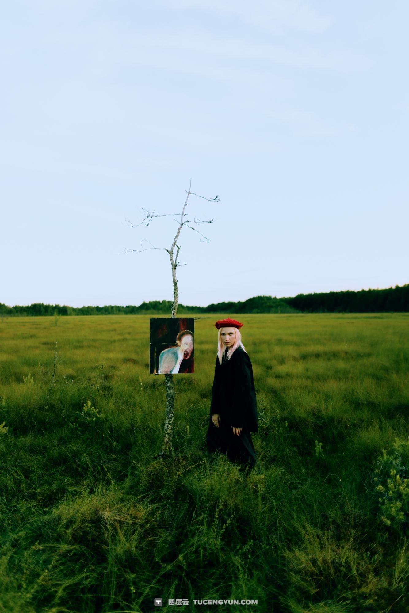 梦幻情绪氛围唯美电影美学婚礼旅拍摄影LUT调色预设+LR预设 Alex Korzov – LUT #7（14497）图层云