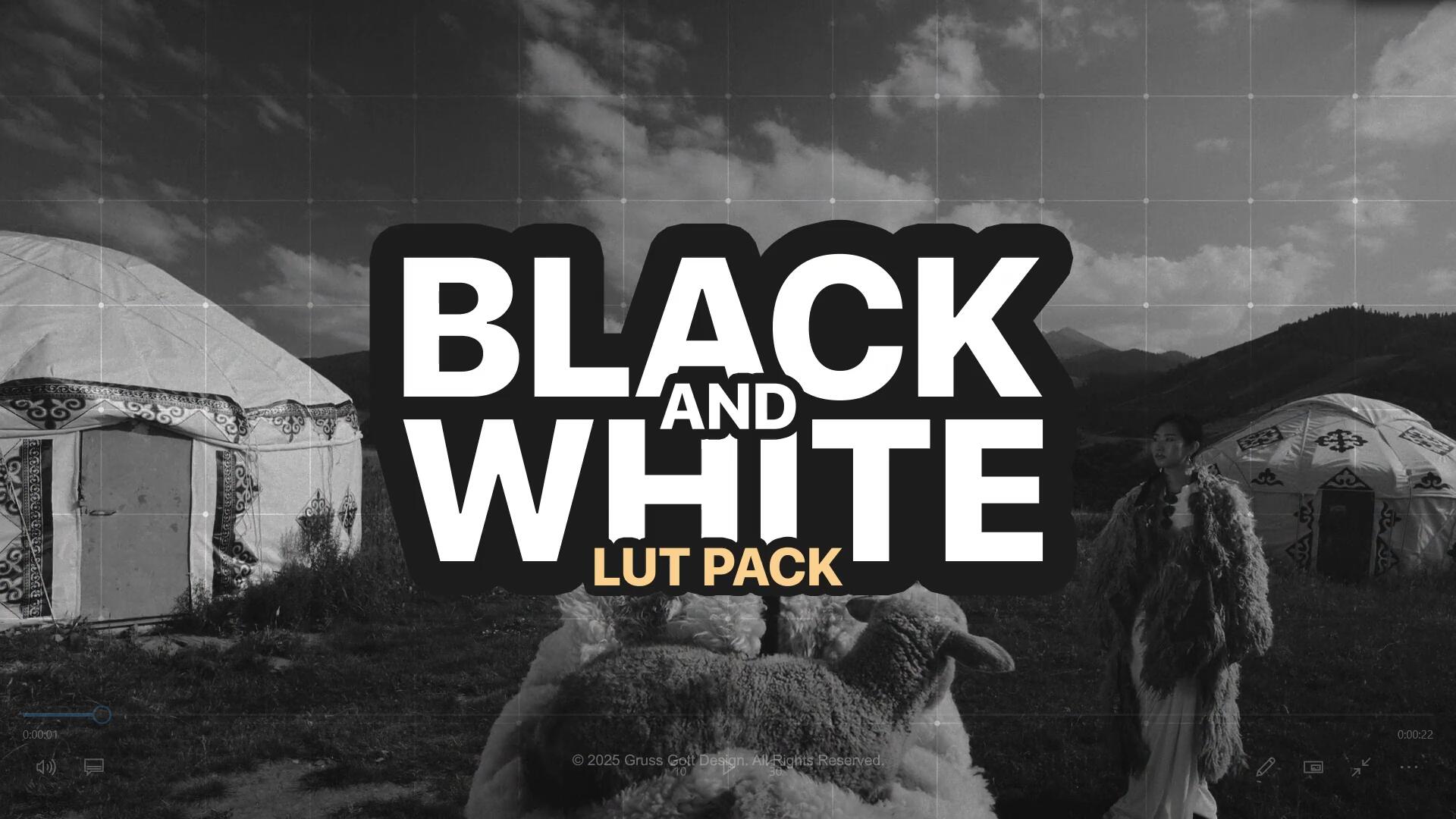 20个深邃柔和细腻黑白色调电影感LUT调色预设（14637）