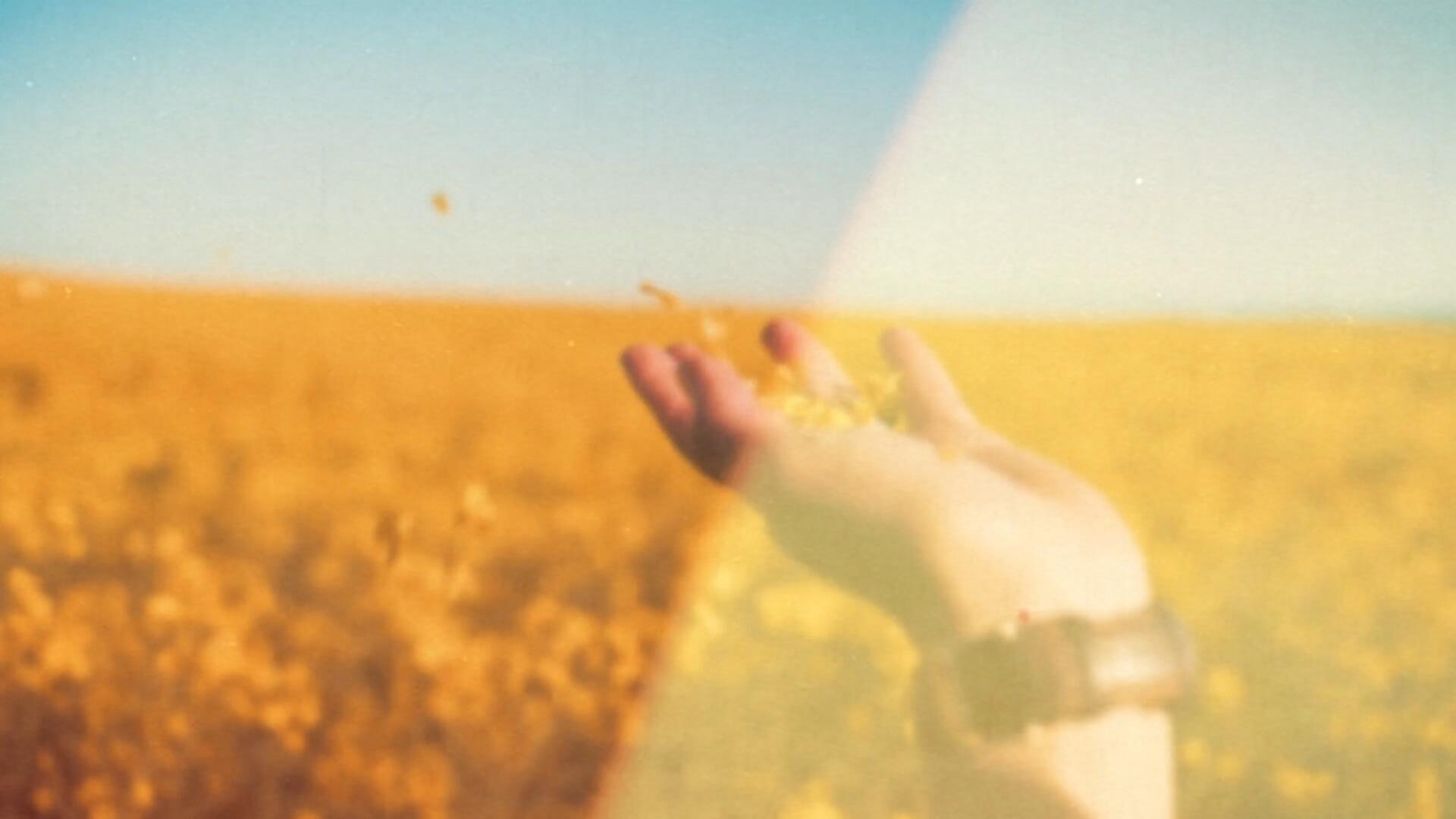 浪漫童话美式乡村风格花卉雏菊波浪笔触纹理手绘装饰边框素材 Cottagecore Decorative Frame clipart（14681）