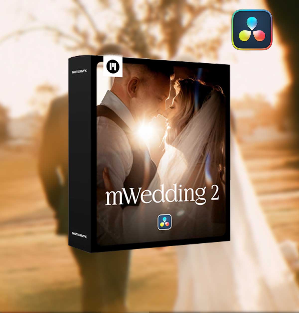 MotionVFX – mWedding 2 复古怀旧美学梦幻优雅婚礼旅拍电影氛围分屏文字排版转场视频效果达芬奇插件预设包（14742）