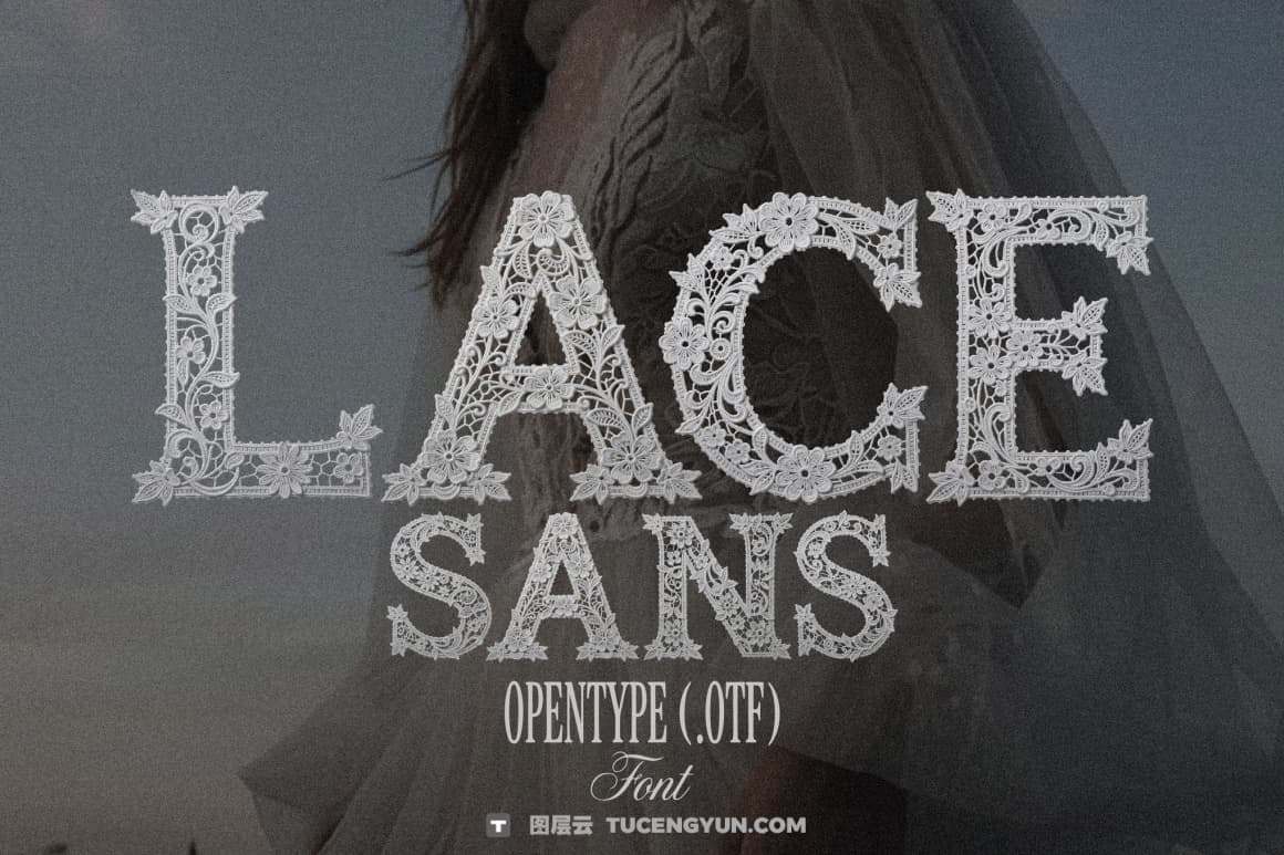 英文字体：浪漫优雅奢华美感婚礼专用蕾丝花卉图案编织线封面海报设计字体（14841）图层云