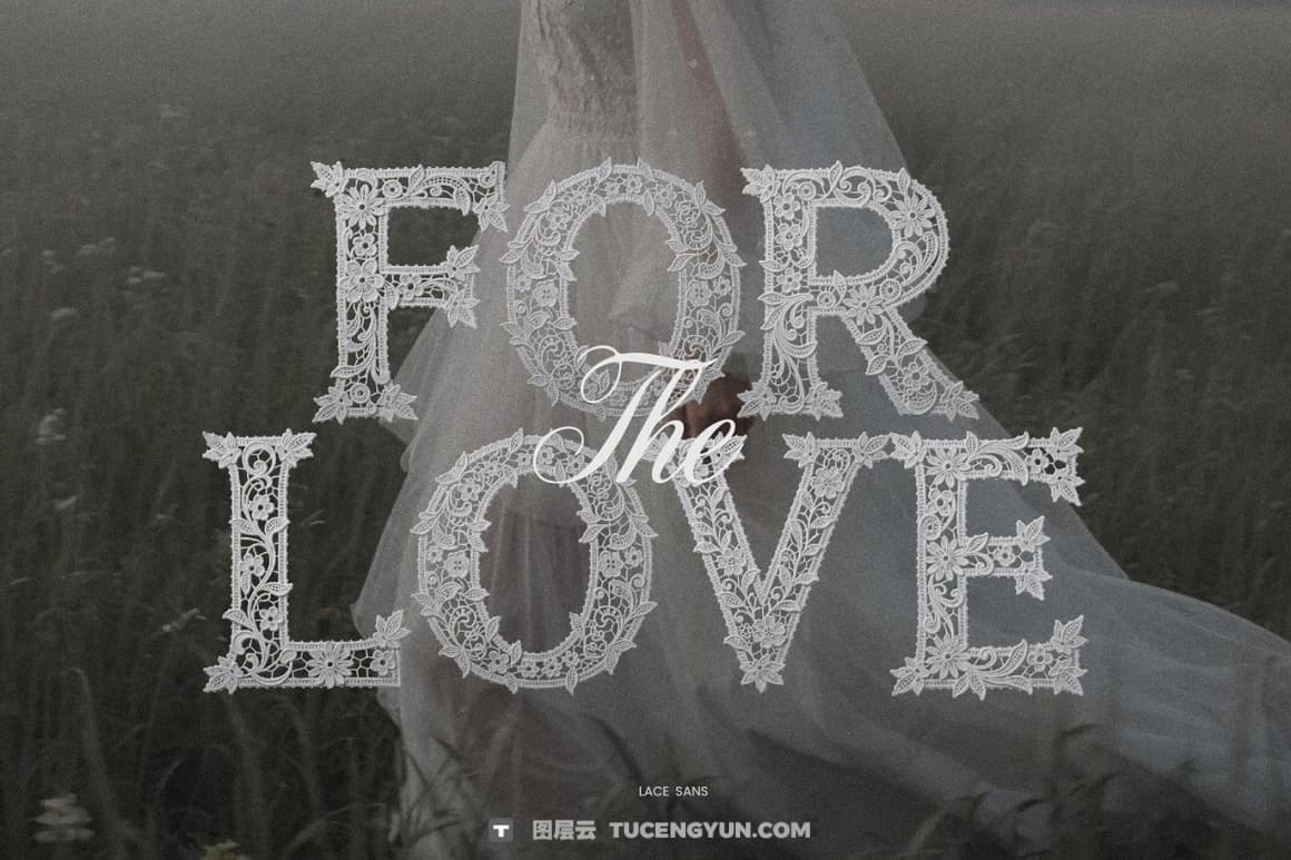 英文字体：浪漫优雅奢华美感婚礼专用蕾丝花卉图案编织线封面海报设计字体（14841）图层云