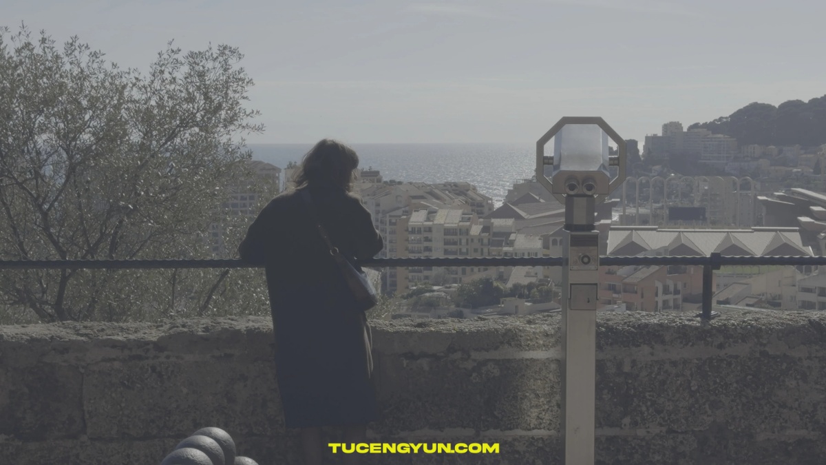 64个终极多风格电影、胶片色彩分级LUT调色预设+达芬奇光晕调色节点套装 Dopamine Frame – The Complete LUT Bundle（14843）图层云