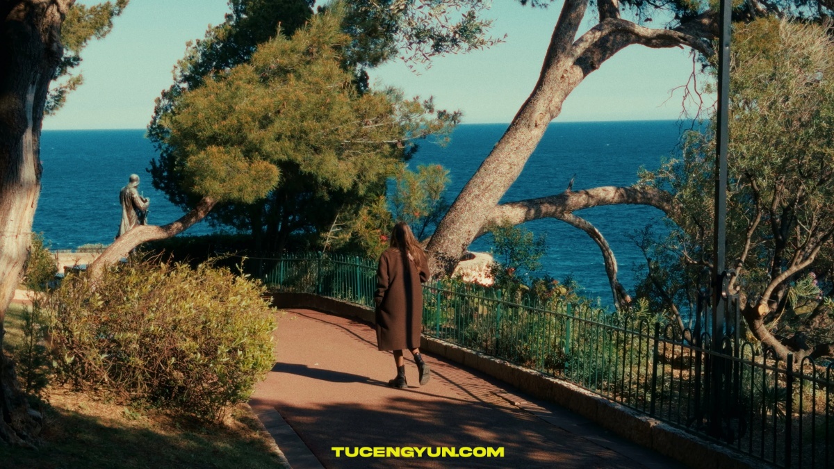 64个终极多风格电影、胶片色彩分级LUT调色预设+达芬奇光晕调色节点套装 Dopamine Frame – The Complete LUT Bundle（14843）图层云