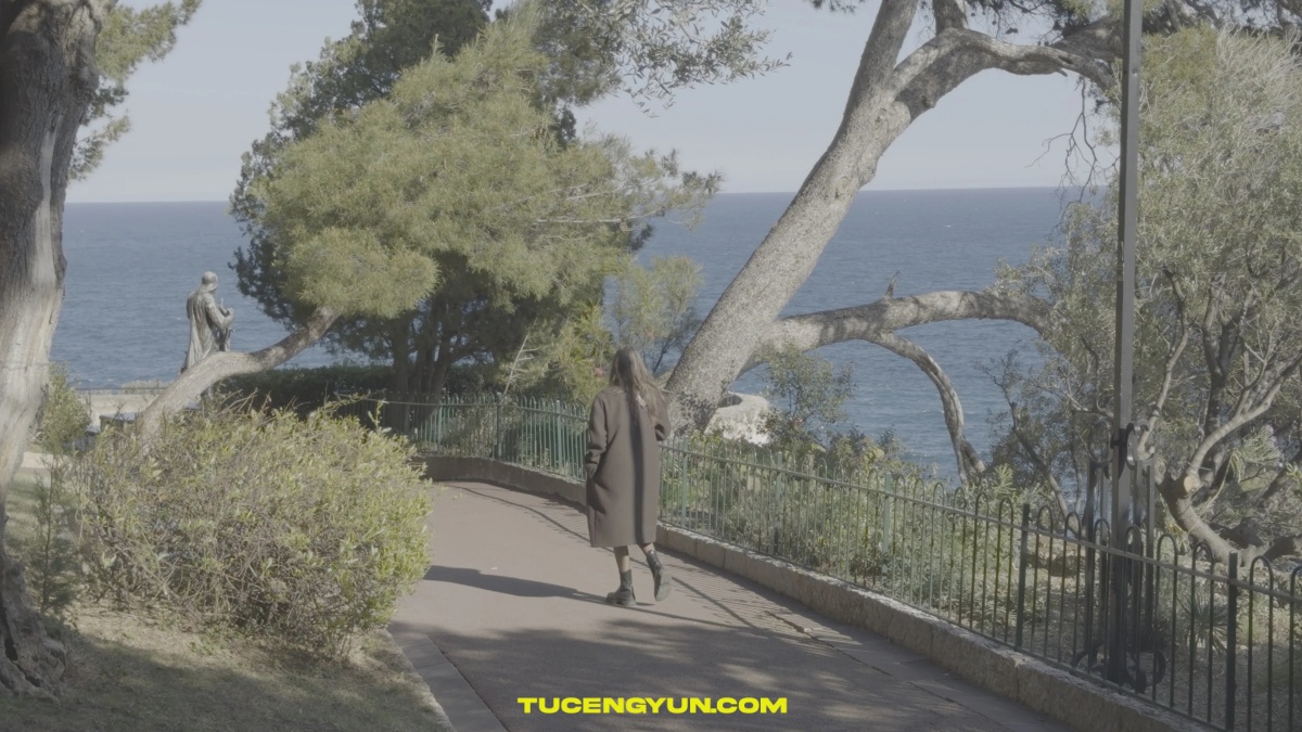 64个终极多风格电影、胶片色彩分级LUT调色预设+达芬奇光晕调色节点套装 Dopamine Frame – The Complete LUT Bundle（14843）图层云