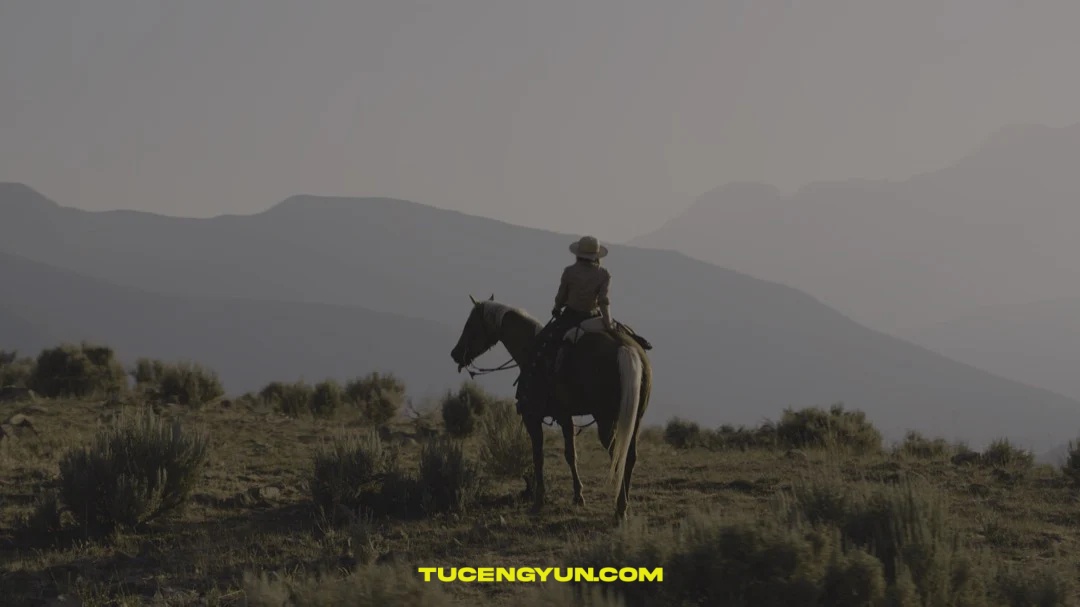 经典美剧视觉美学电影风格大片色彩分级调色LUTs+LR调色预设 GradeFruit TV Looks LUTs & LR Presets（14879）图层云