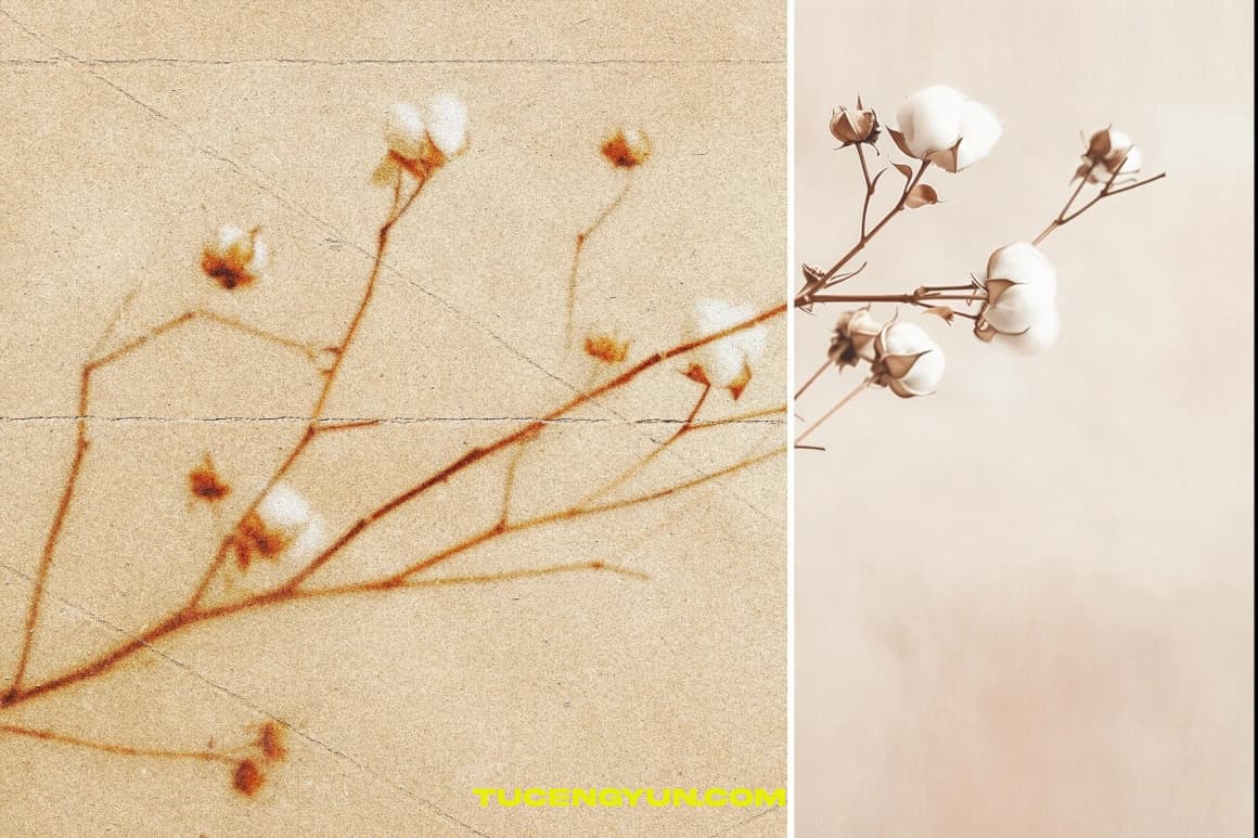 梦幻模糊老式划痕折痕破损做旧颗粒半调纸张印刷叠加PSD特效样机 Blurred Folded Paper Photo Effect（14897）图层云