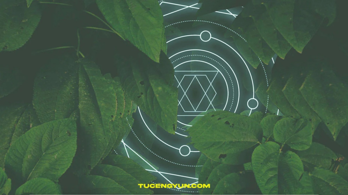 57个神圣曼陀罗花天文宇宙风格几何形状演唱会音乐MV视频叠加素材 Sickboat – MANDALA: SACRED GEOMETRY ANIMATIONS PACK（14934）图层云