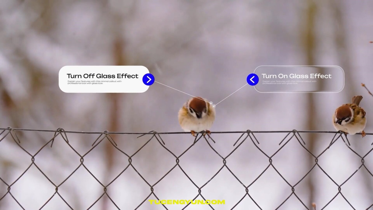 AE模板：10个液态玻璃风格呼出式文字标题数据标注跟踪效果动画（14935）图层云