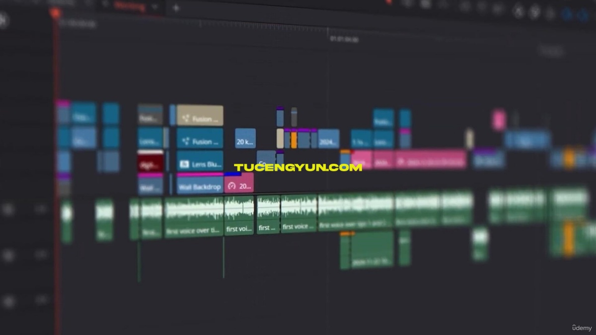 大师课程：达芬奇20基础入门剪辑、音频、动态图形、调色视频课程 DaVinci Resolve Essentials – Beginner Video Editing Course（14947）图层云