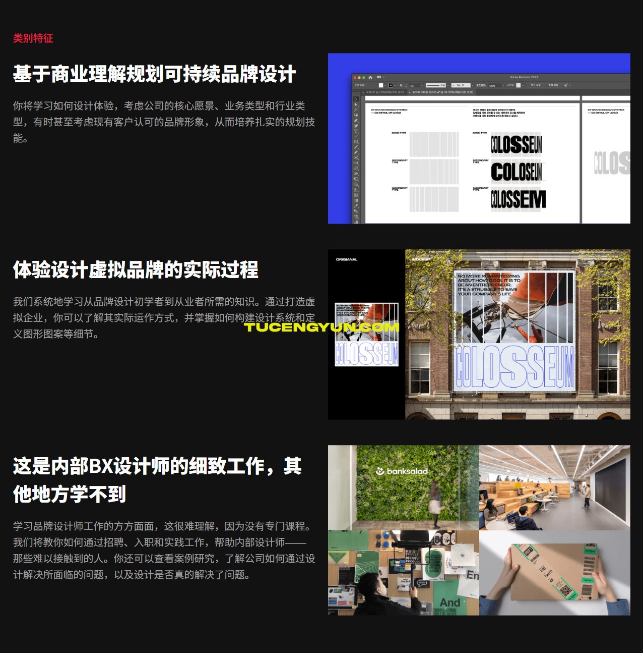 大师课程：从品牌设计到作品集排版设计全流程视频教程（中文字幕）（15001）图层云