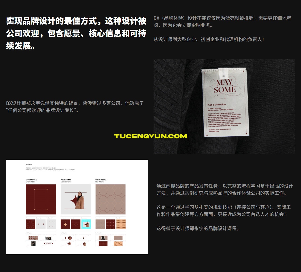 大师课程：从品牌设计到作品集排版设计全流程视频教程（中文字幕）（15001）图层云